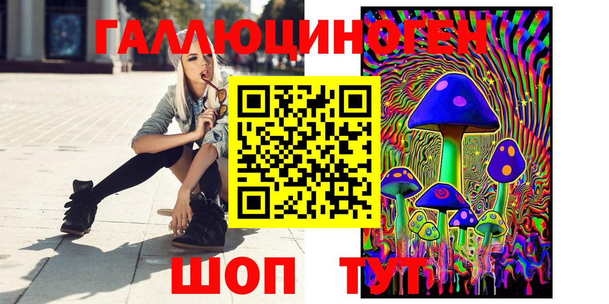 Псилоцибиновые грибы Cubensis  купить  цена  Псилоцибиновые грибы MAGIC MUSHROOMS  Канаш  Вход с VPN 