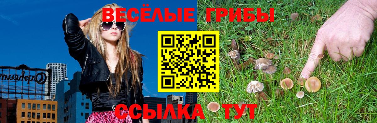 Галлюциногенные грибы прущие грибы Канаш